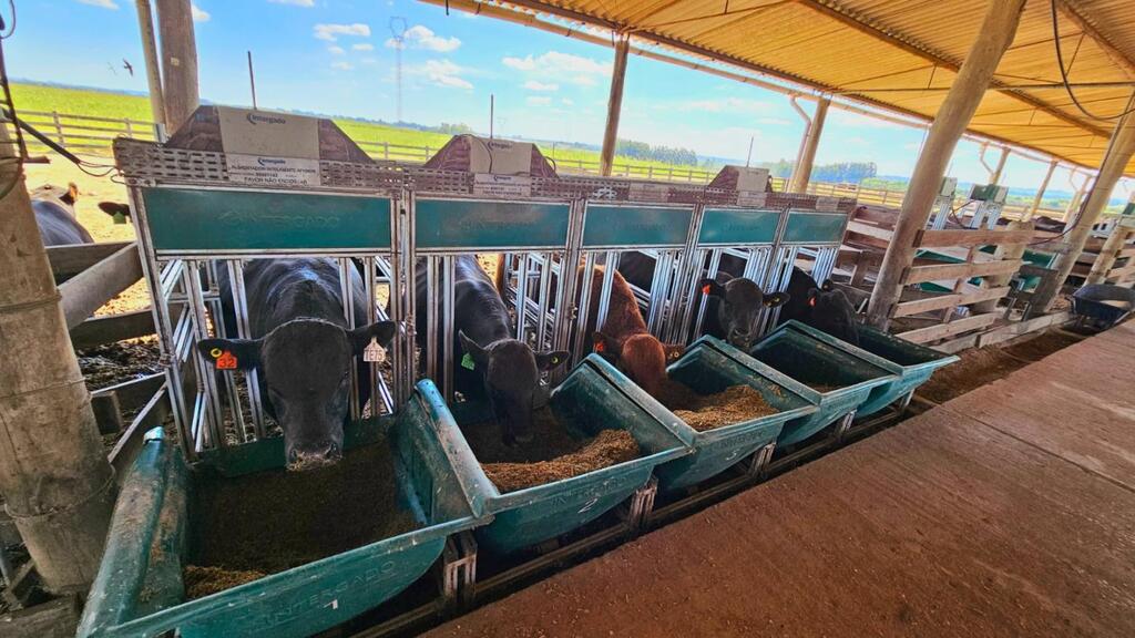 Vencedores da Prova de Eficiência Alimentar serão conhecidos no dia 27