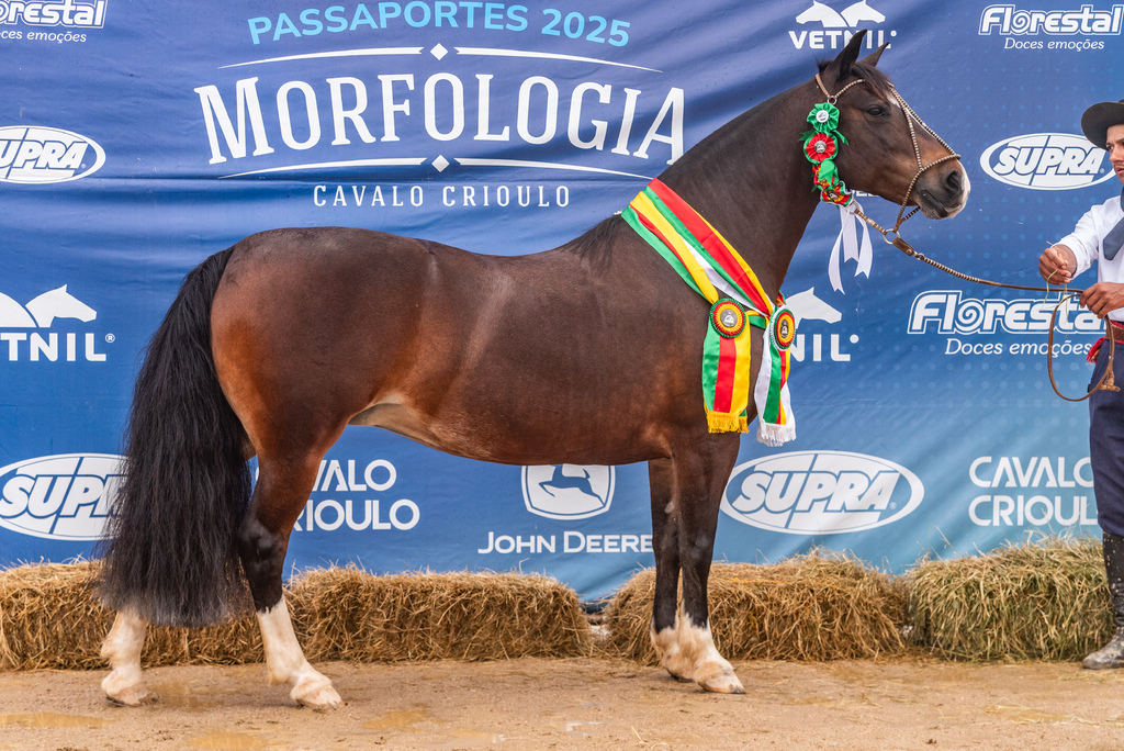 Últimas vagas do Ciclo Morfológico definidas em Gaspar