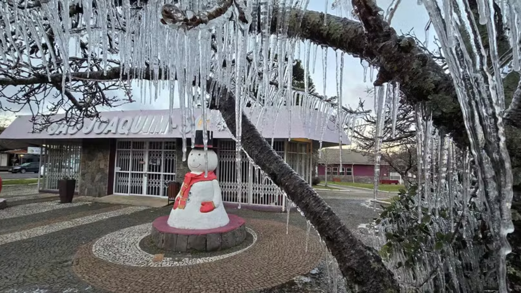 Imagem Mycchel Legnaghi/Divulgação - Onda de frio atinge SC com temperaturas abaixo de zero e Serra do Rio do Rastro é interditada