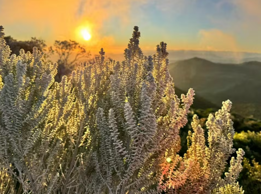 Santa Catarina Registra a Menor Temperatura do Ano: -8°C em Urupema