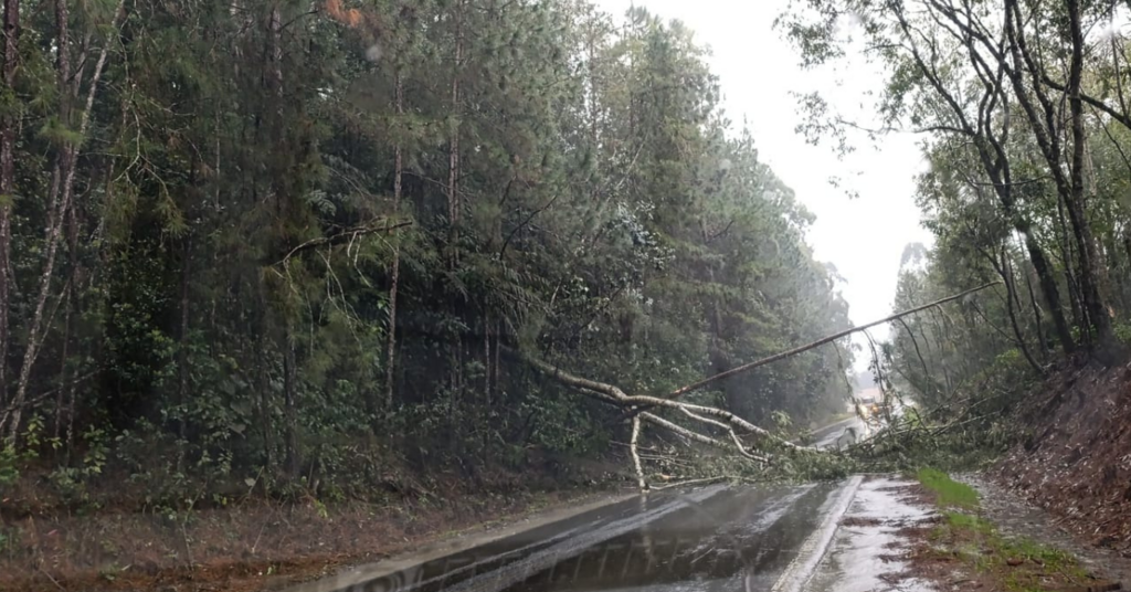 Trecho da SC-114 entre Rio do Campo e Santa Terezinha está interditado por queda de árvores
