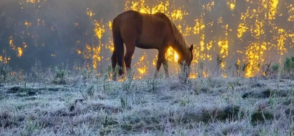  Julho começa com precipitação invernal na Serra catarinense