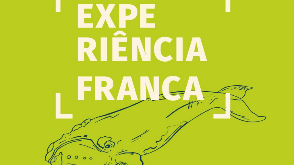 Experiência Franca; novo projeto promove jornada criativa gratuita para jovens e mulheres em Imbituba nesta quinta-feira (3)
