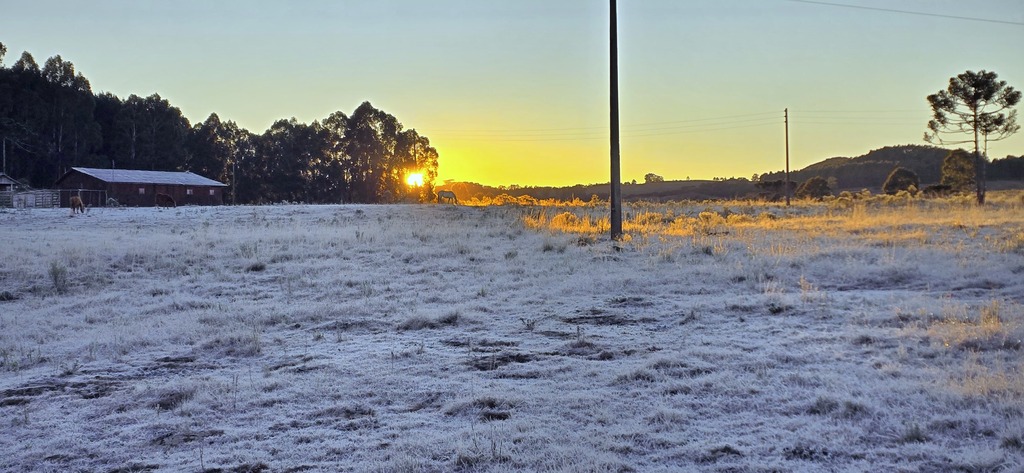 Serra Catarinense registra frio extremo e amanhece coberta por geada