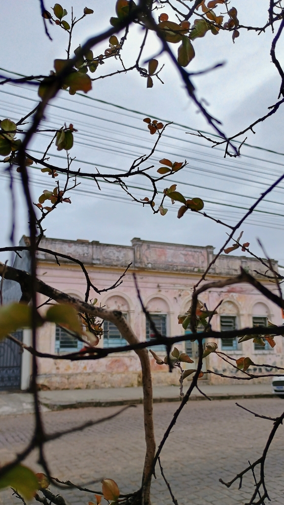 Previsão indica frio pela manhã e tardes amenas nesta semana