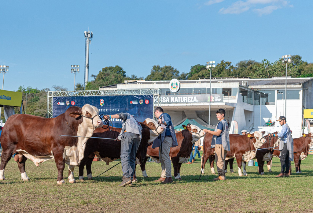ABHB abre inscrições para animais na 48ª Expointer