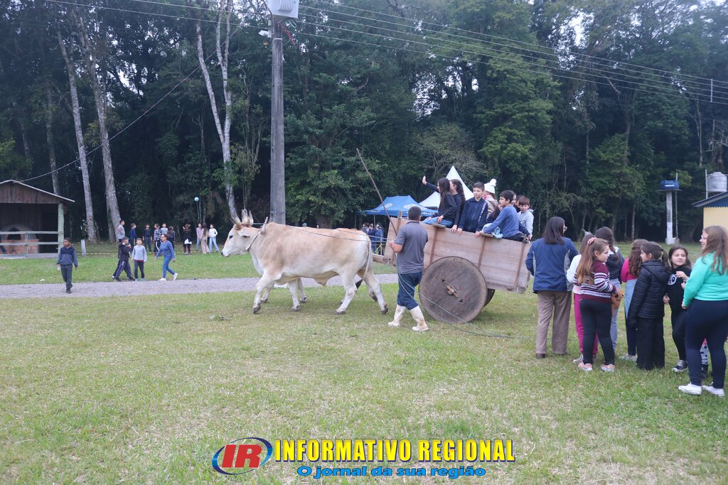 Imagem 3