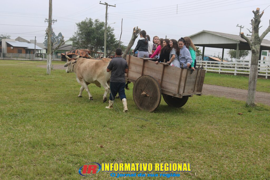 Imagem 6
