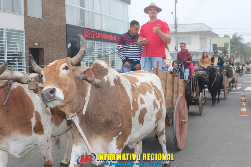 Imagem 12