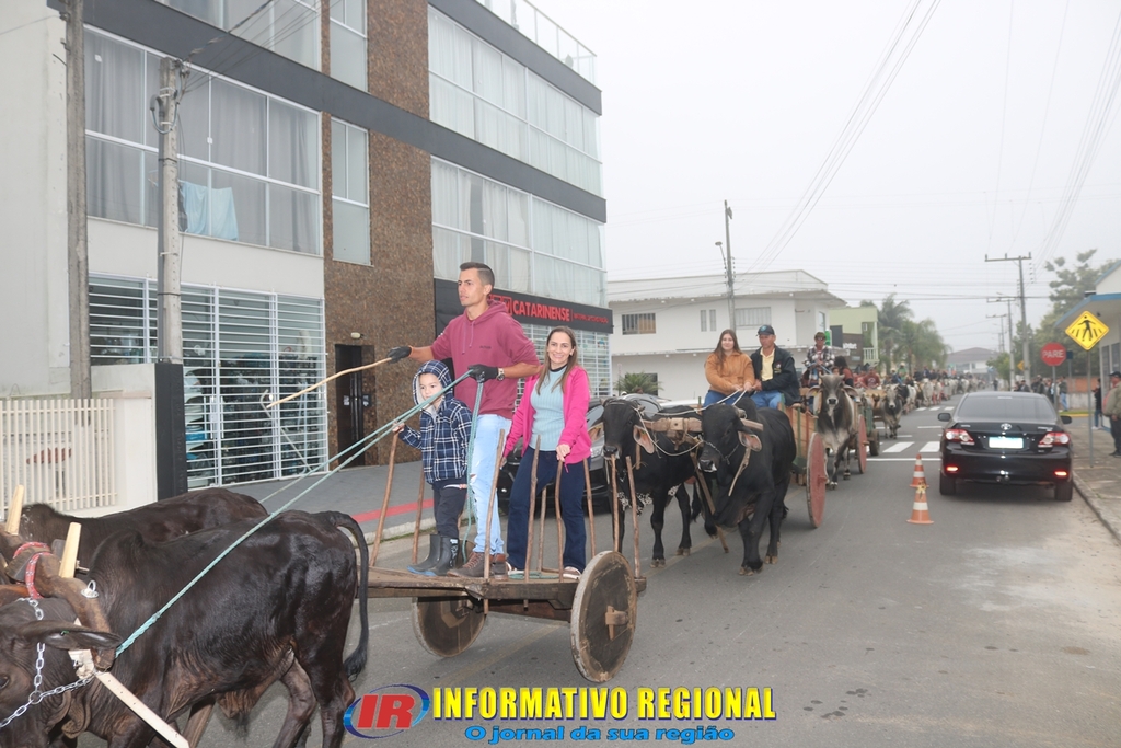 Imagem 13