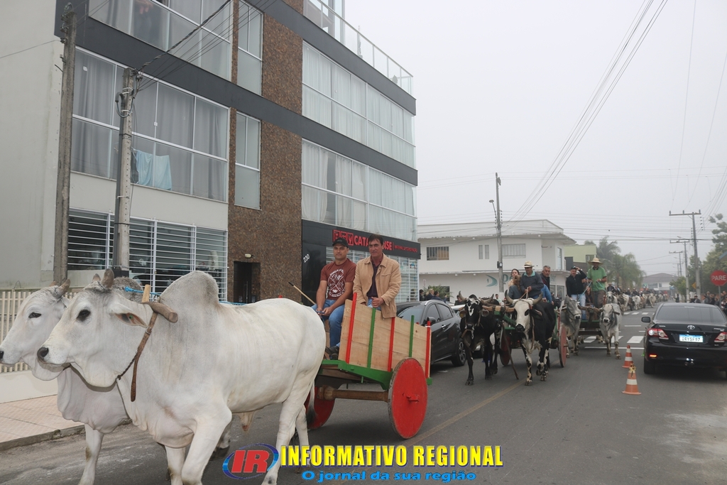 Imagem 19