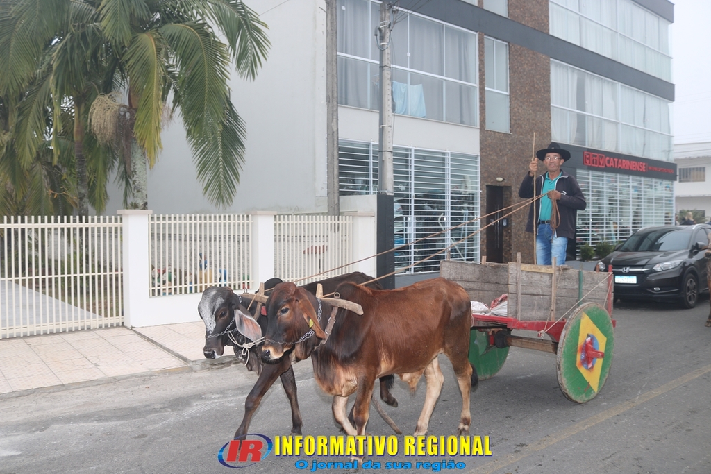 Imagem 36