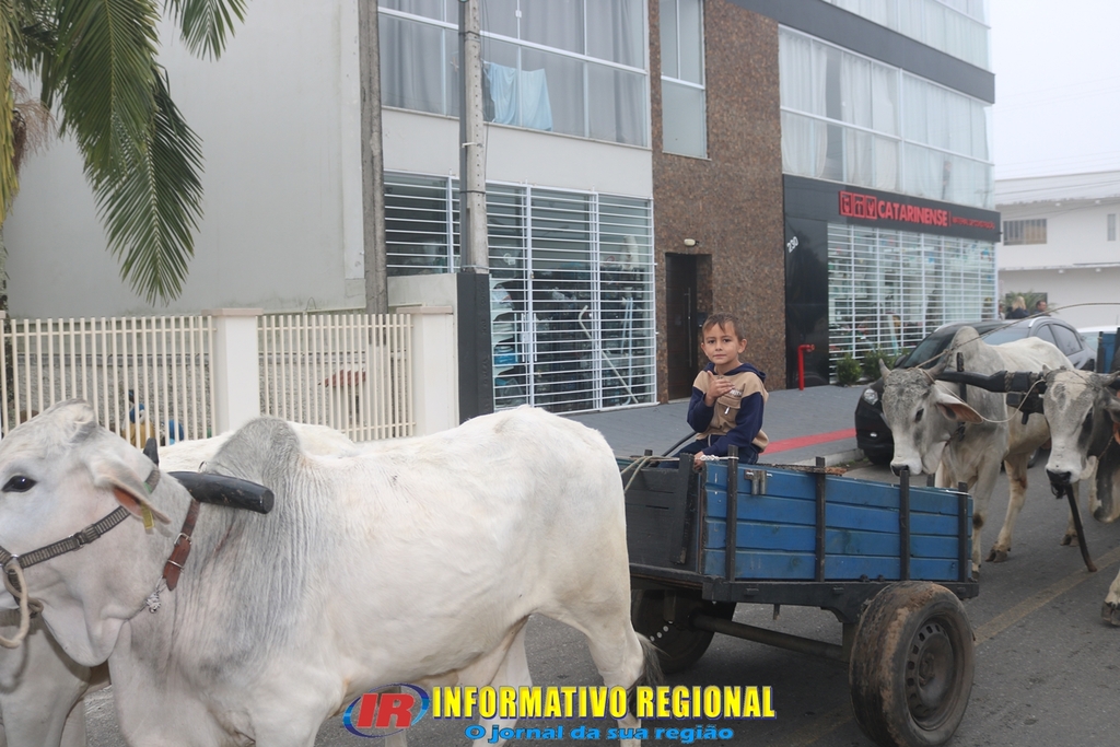 Imagem 41