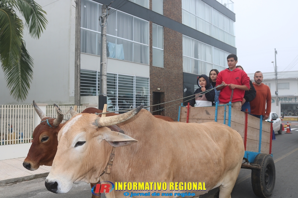 Imagem 46