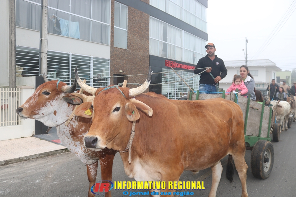 Imagem 47