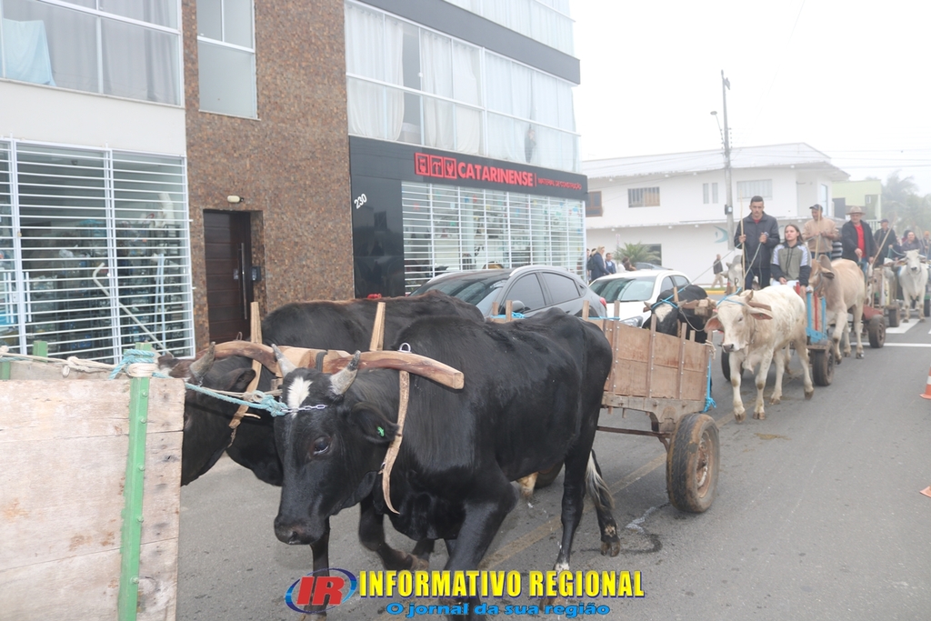 Imagem 48