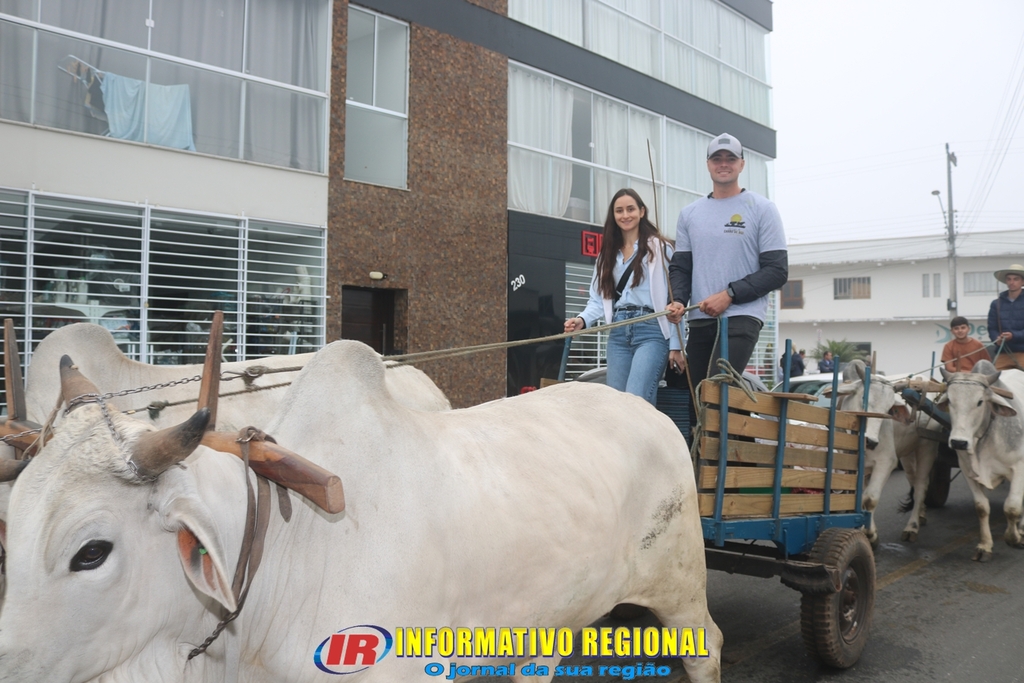 Imagem 113