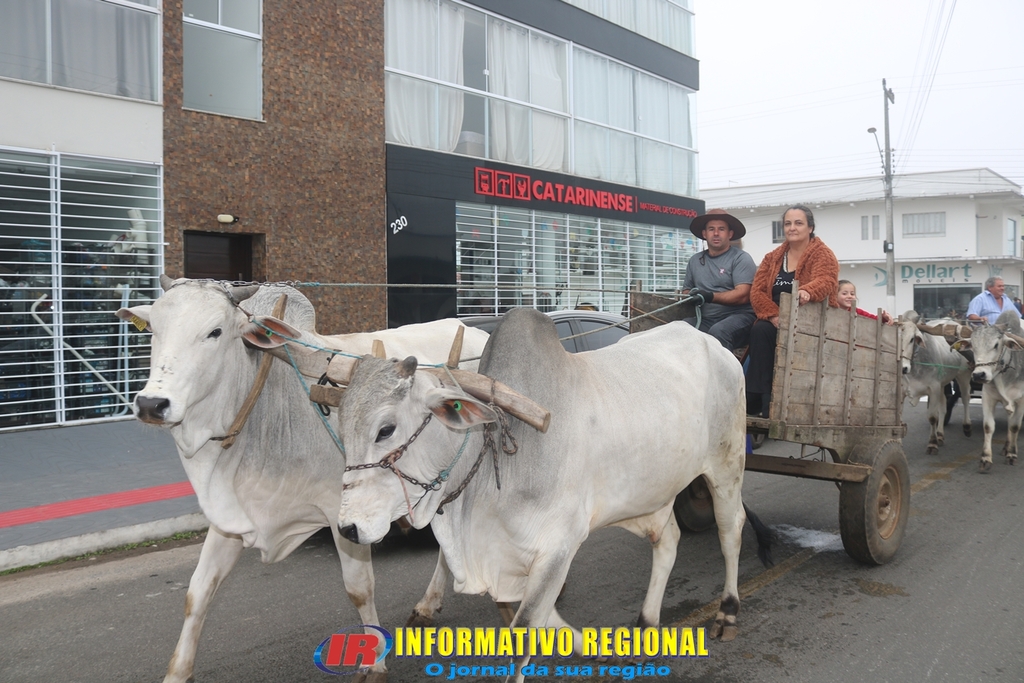 Imagem 141
