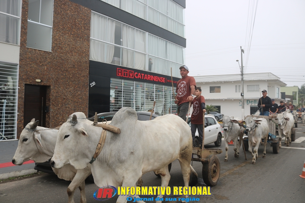 Imagem 192