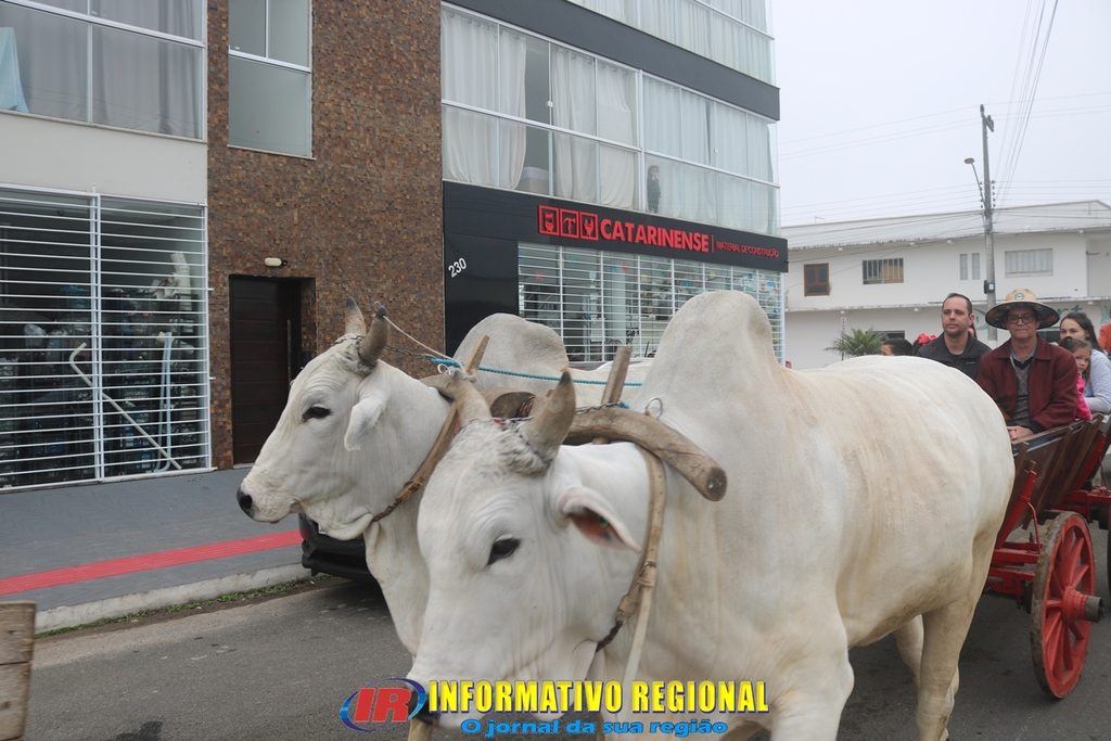 Imagem 202