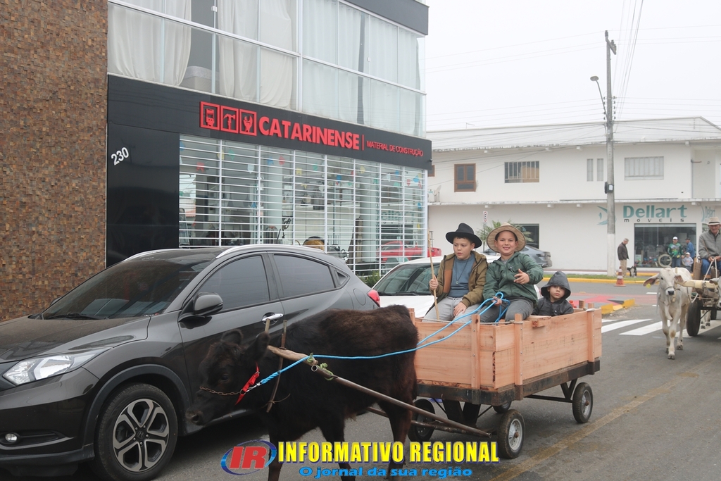 Imagem 217