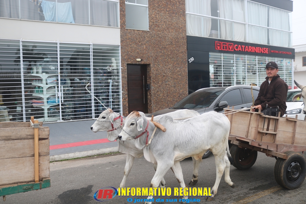 Imagem 219