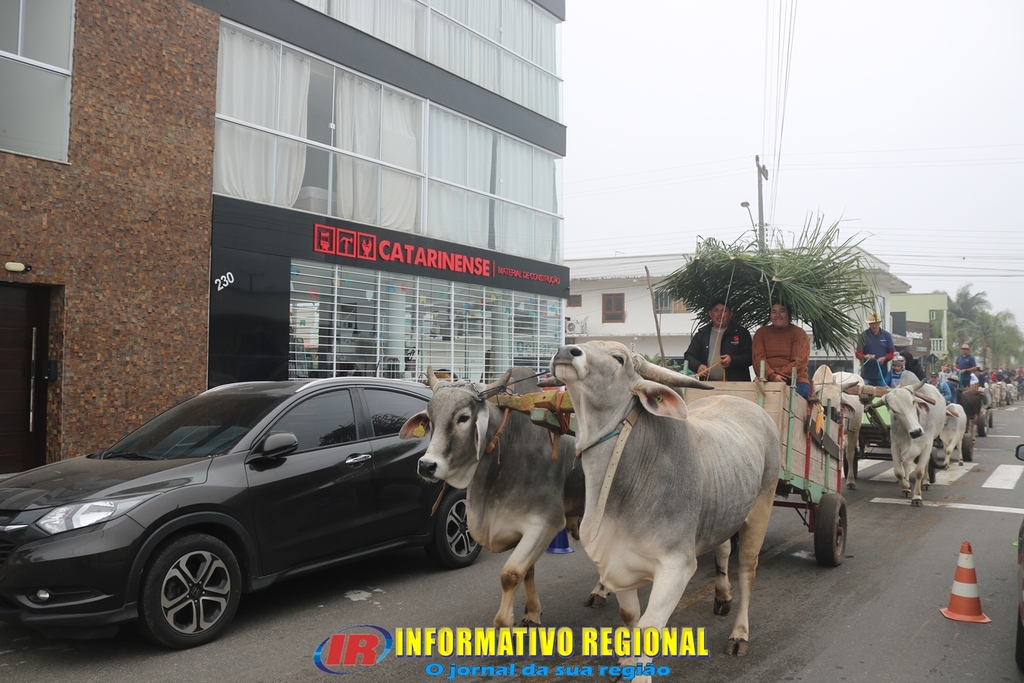 Imagem 231