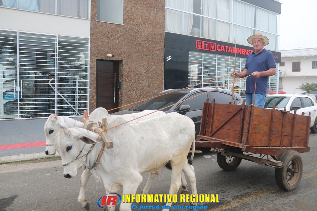 Imagem 245