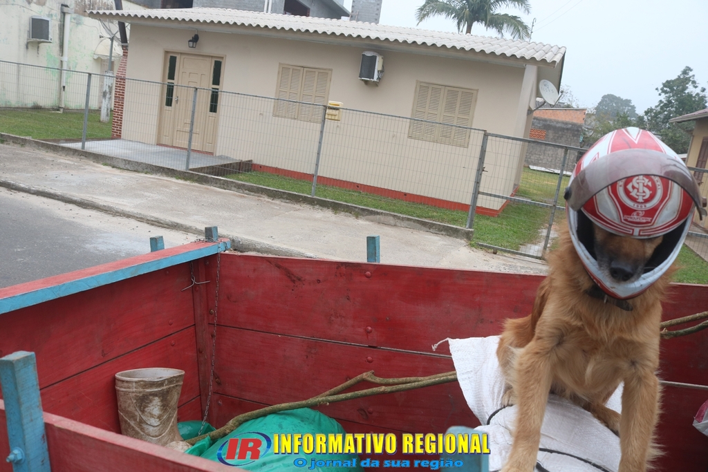 Imagem 254
