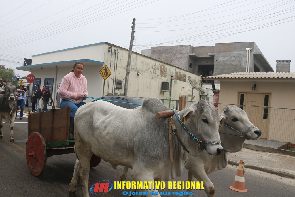 Imagem 260