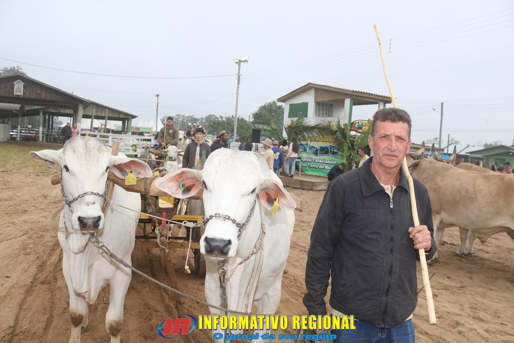 Imagem 283
