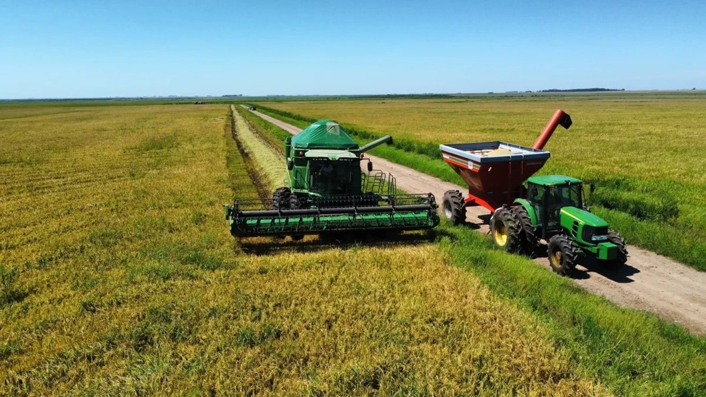 Agricultura e Pecuária condenam sobretaxa imposta por Trump