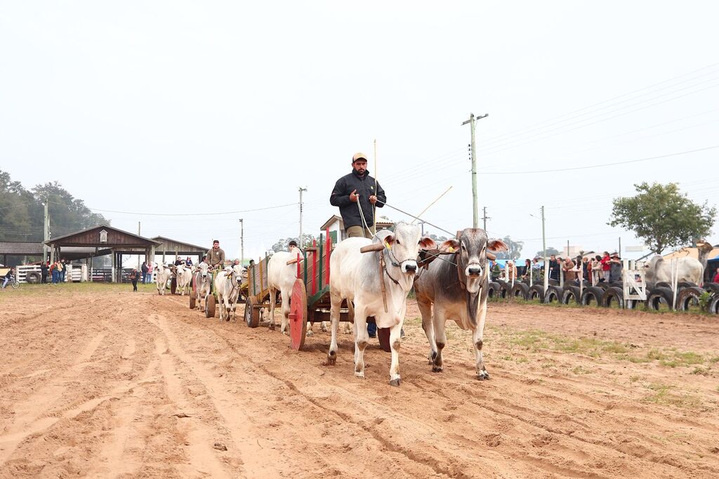 SÃO JOÃO DO SUL VIVEU UM FIM DE SEMANA HISTÓRICO COM A 1ª FESTA DO CARRO DE BOI
