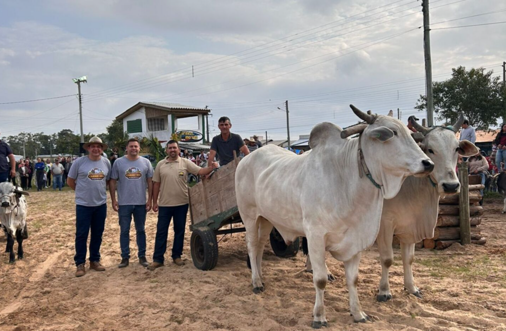 SÃO JOÃO DO SUL VIVEU UM FIM DE SEMANA HISTÓRICO COM A 1ª FESTA DO CARRO DE BOI