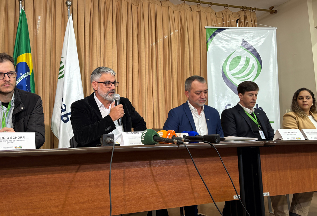 Conab compra de 110 mil toneladas de arroz para conter queda de preços