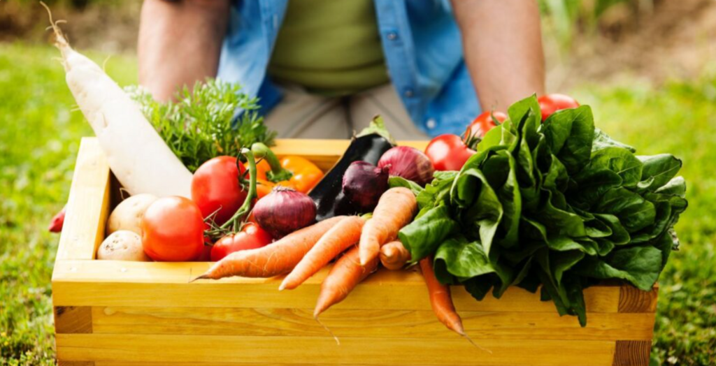 Segurança alimentar ganha reforço com doações do Programa de Aquisição de Alimentos