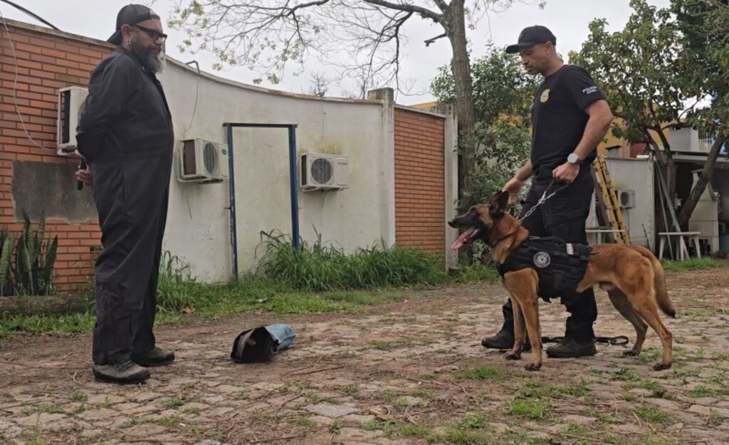 Cães atuam no combate ao tráfico e criam laços de confiança com policiais