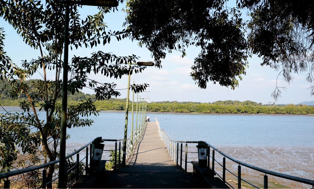 Baía Babitonga: Joinville fortalece laços históricos com o mar e impulsiona turismo náutico com novo píer no bairro Espinheiros