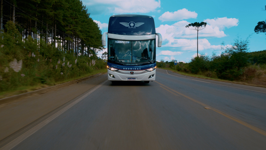 Férias de julho impulsionam viagens e movimentam setor de transportes