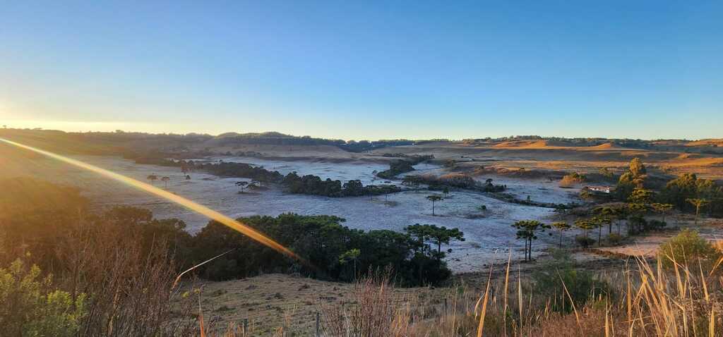 Serra Catarinense amanhece congelada ecom temperaturas negativas