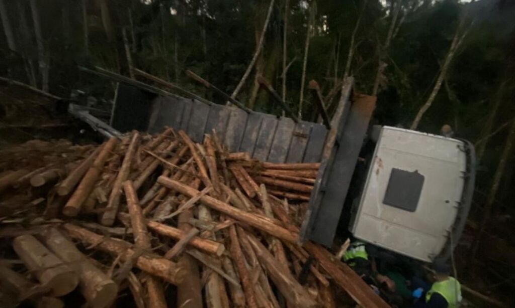 Caminhão com toras cai em barranco de dez metros em Rio do Sul