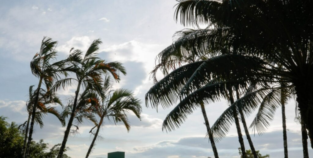 Defesa Civil de Joinville eleva Plano de Contingência para alerta Laranja