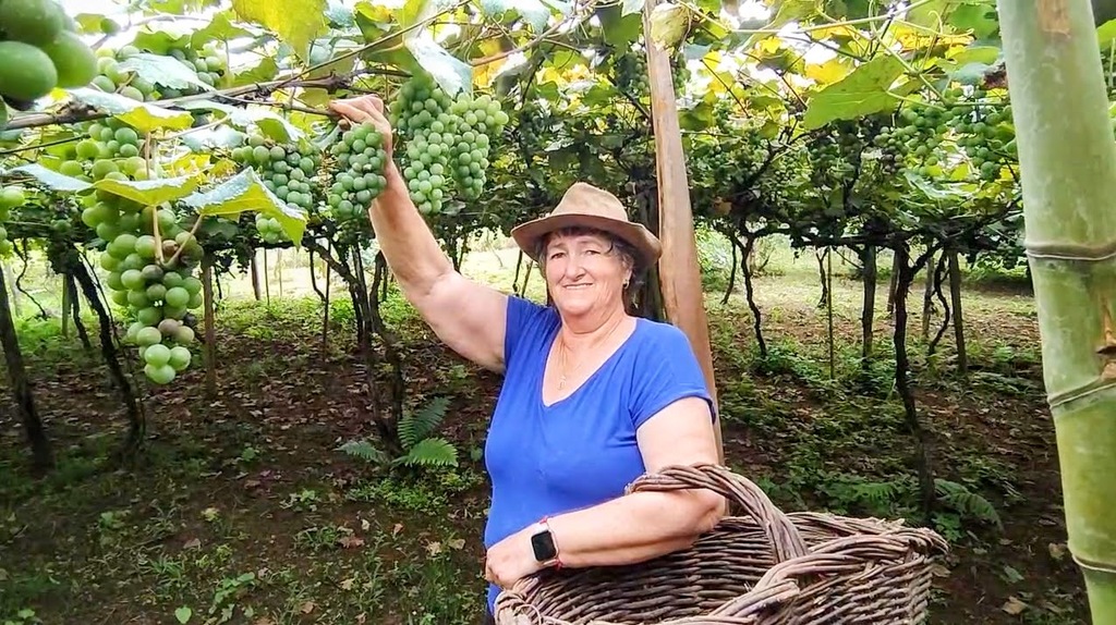Santa Catarina tem o menor índice de insegurança alimentar do Brasil
