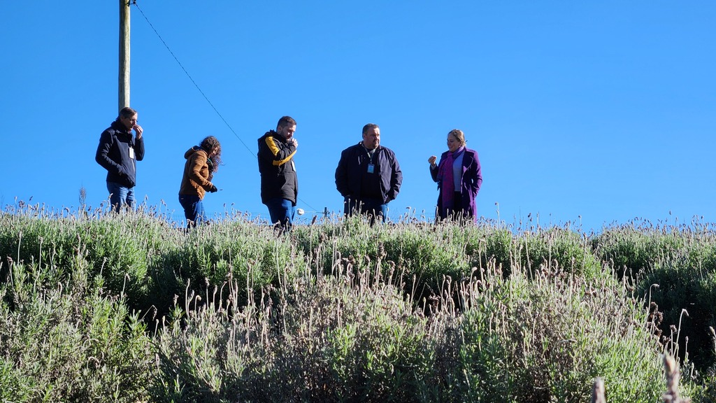 Epagri apoia empreendimento turístico com flores na Serra de SC