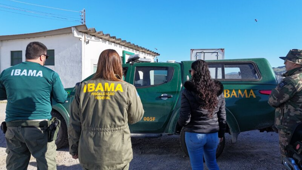 Imagem divulgação PMA - 14 toneladas de peixe irregular são apreendidas em operação ambiental em Cabeçuda