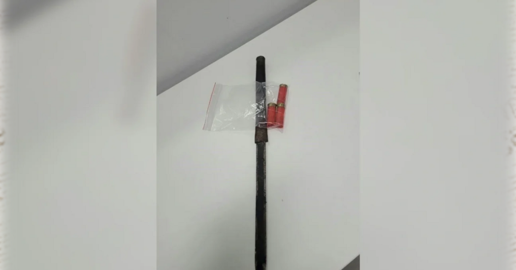 Homem é preso em Salete por maus-tratos a cão, ameaças e posse de munição