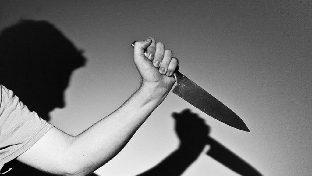Foto: Reprodução Internet - Mulher é morta a facadas dentro de casa após obter medida protetiva contra ex-companheiro