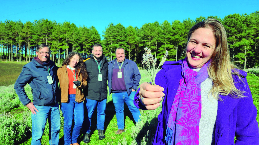 Epagri apoia novo empreendimento turístico com flores em Otacílio Costa