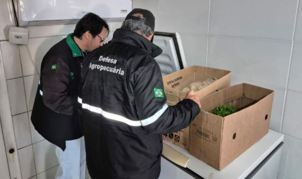 Mais de 1,4 tonelada de alimentos é apreendida em Maçambará