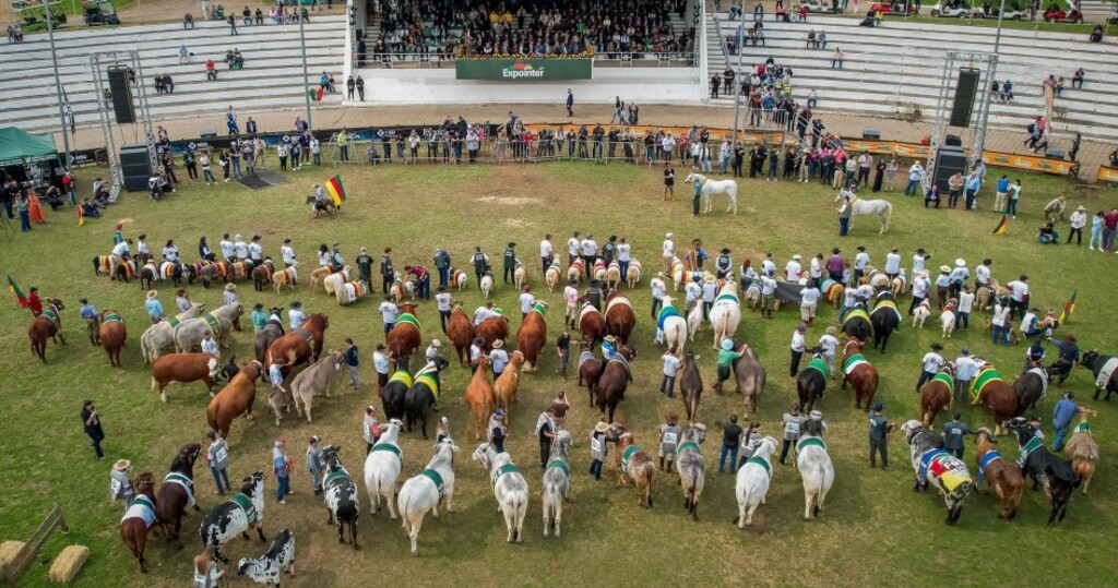 Expointer 2025 tem aumento de 47,69% na inscrição de animais de argola